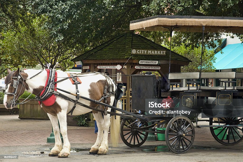 Savanah GA: Horsecart für Touristen in der City Market - Lizenzfrei Savannah - Georgia Stock-Foto