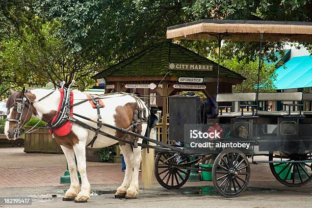 Savanah Ga Horsecart Für Touristen In Der City Market Stockfoto und mehr Bilder von Savannah - Georgia