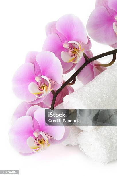 Photo libre de droit de Orchidée Rose Avec Des Serviettes banque d'images et plus d'images libres de droit de Beauté - Beauté, Blanc, Capitule