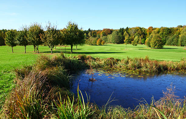 istock Slightly frozen blue Lake in green Meadow early Fall 182196340