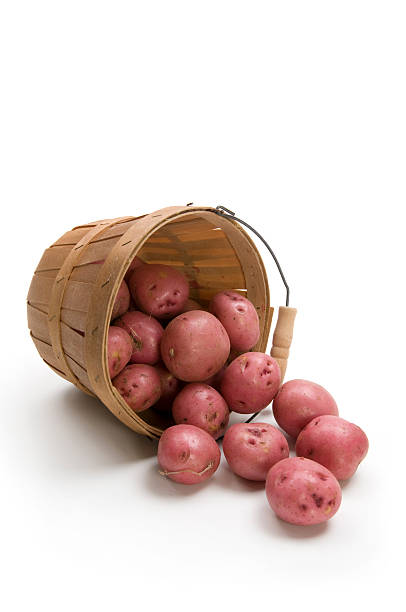 pommes de terre rouge - red potato isolated raw potato raw photos et images de collection