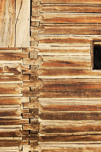 통나무집 우리 널빤지 퍼사드 - log log cabin wood knotted wood 뉴스 사진 이미지