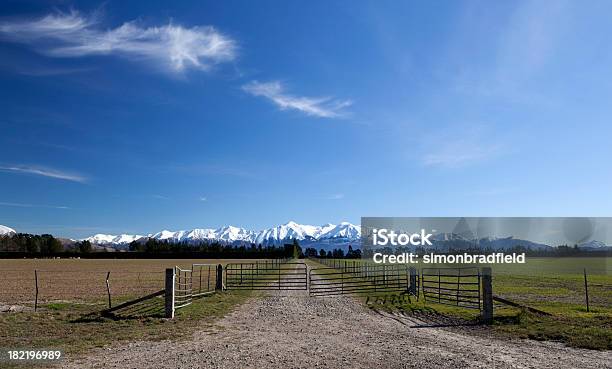 New Zealand Farm Eingang Stockfoto und mehr Bilder von Agrarbetrieb - Agrarbetrieb, Neuseeland, Baum