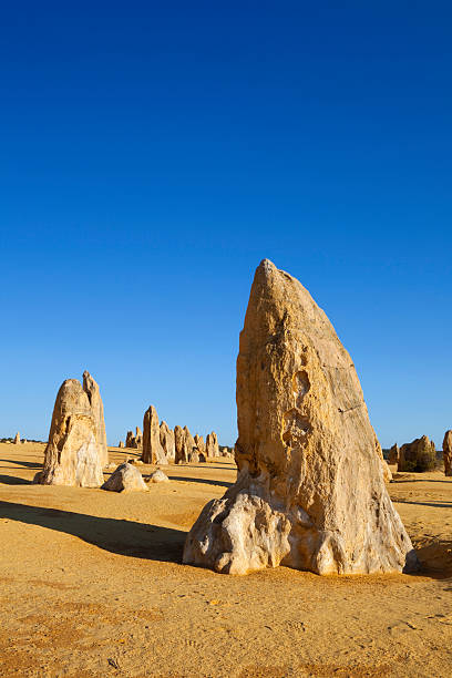 pináculos desierto - nambung national park fotografías e imágenes de stock