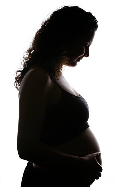 Pregnancy "6 months pregnant woman silhouette.For more of my similar images, please follow the banner link below:" 3 months pregnant belly stock pictures, royalty-free photos & images