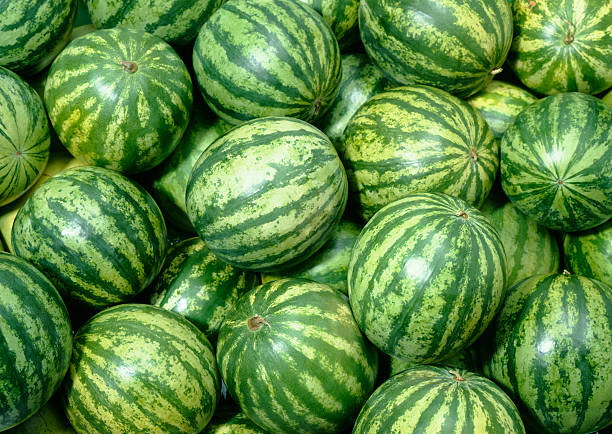 melon papier peint - pastèque photos et images de collection