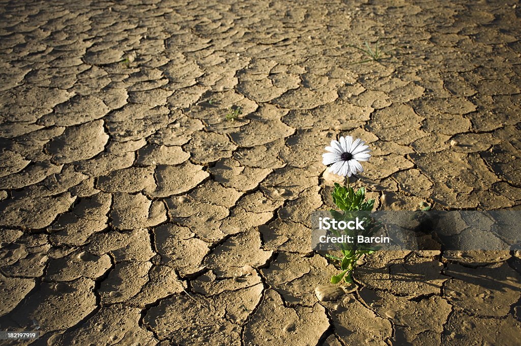 Aquecimento Global - Foto de stock de Deserto royalty-free