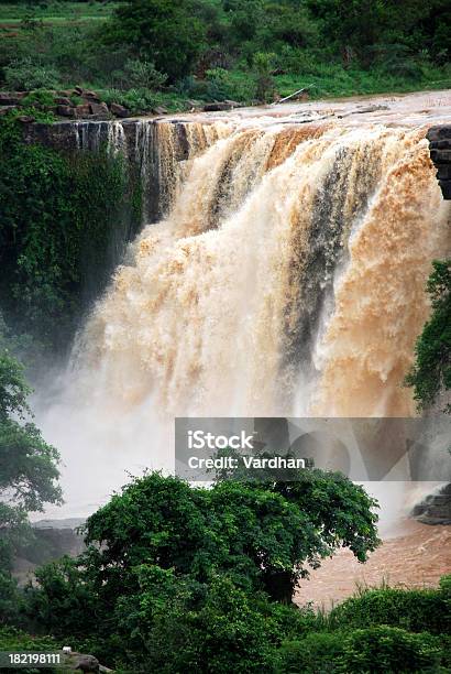 Cascatas - Fotografias de stock e mais imagens de Bastão de Açúcar - Bastão de Açúcar, Cascata, Floresta