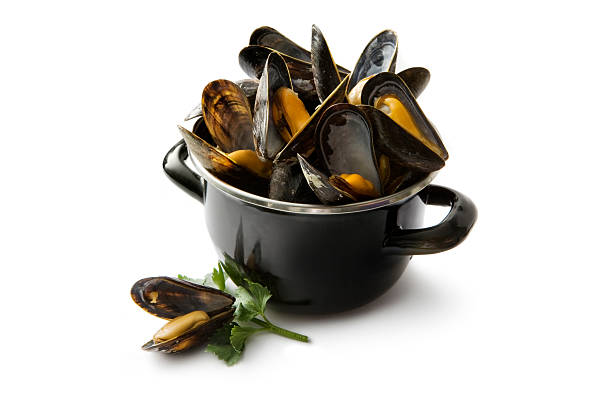 frutti di mare: cozze - mussells foto e immagini stock