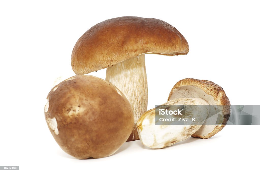 Cogumelos selvagens - Foto de stock de Cogumelo Porcini royalty-free