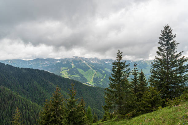 widok ze wzgórza puste nad doliną demianowską w tatrach niskich na słowacji - chopok zdjęcia i obrazy z banku zdjęć