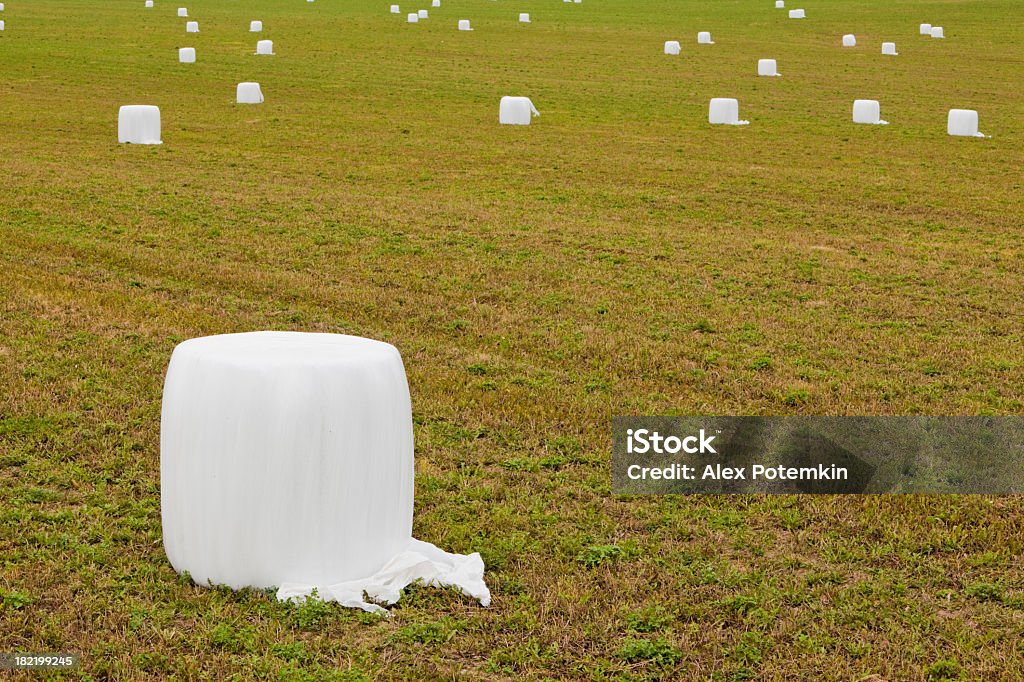 Stubble-field with baled straw farm's field with baled straw Agricultural Field Stock Photo