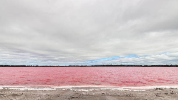 istock Pink Lake, Victoria, Australia 1821993444