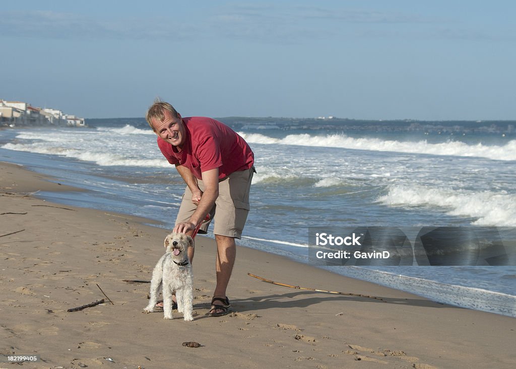 Mensch und Hund Genießen Sie einen Spaziergang am Strand - Lizenzfrei Hundespaziergang Stock-Foto