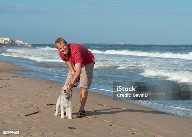 Mensch Und Hund Genießen Sie Einen Spaziergang Am Strand Stockfoto und mehr Bilder von Hundespaziergang