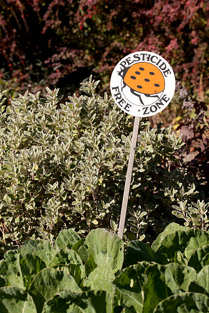 sinal de zona livre de pesticidas no jardim - insecticide organic sign vegetable garden imagens e fotografias de stock