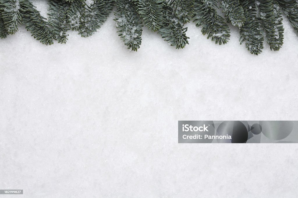 Pine tree quadro em fundo de neve - Foto de stock de Neve Falsa royalty-free