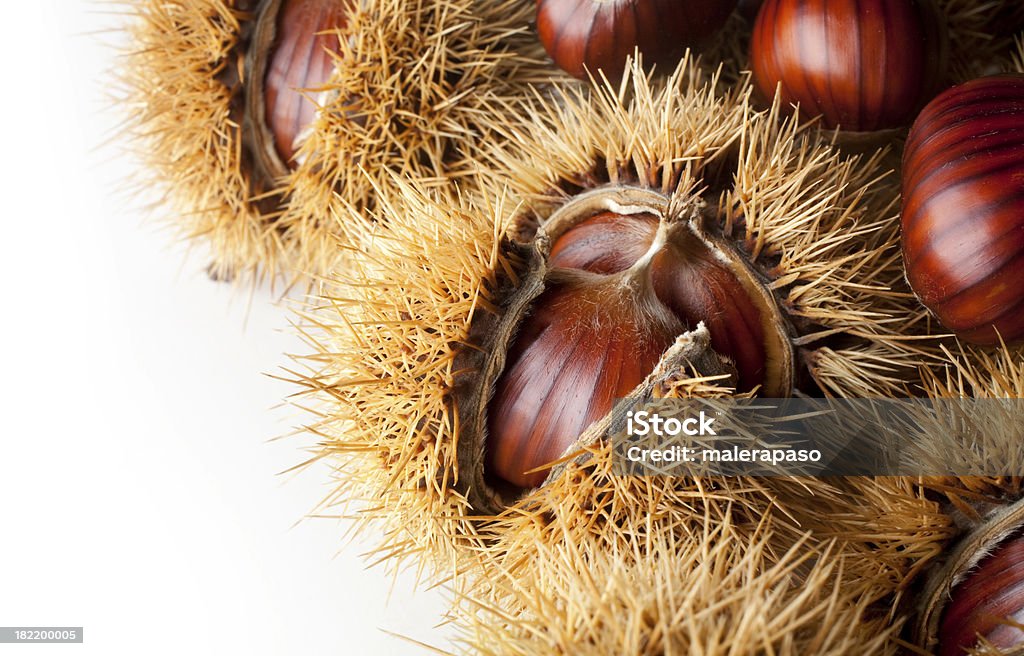 Chestnuts Chestnuts. Similar photographs from my portfolio: Autumn Stock Photo