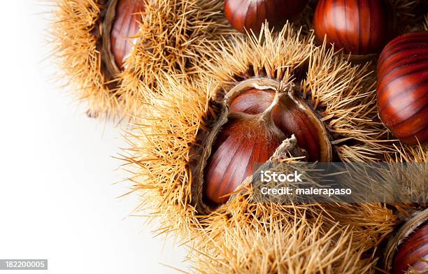 Chestnuts Stock Photo - Download Image Now - Autumn, Brown, Chestnut - Food