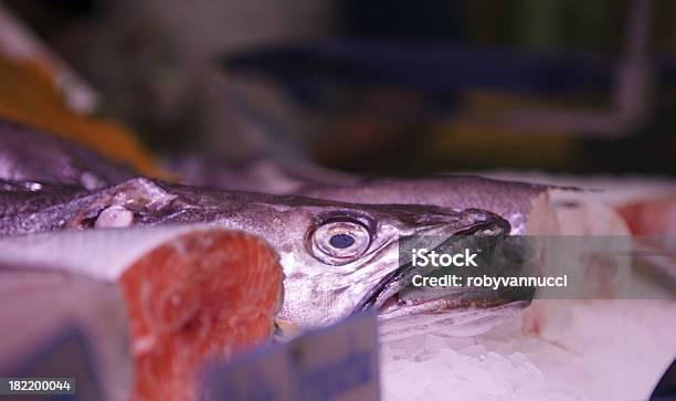 Codfish On Ice At The Seafood Booth Stock Photo - Download Image Now - Business, Close-up, Cod