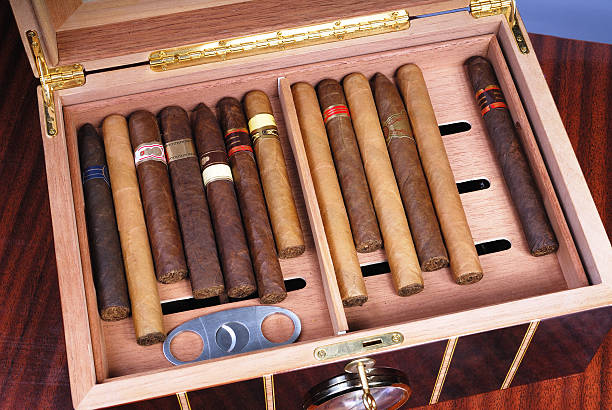 istock Cigars Inside of Humidor 182200110