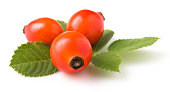 rose hip