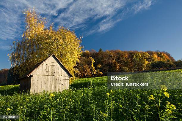 De Otoño Scene Foto de stock y más banco de imágenes de Aire libre - Aire libre, Bosque, Cabaña