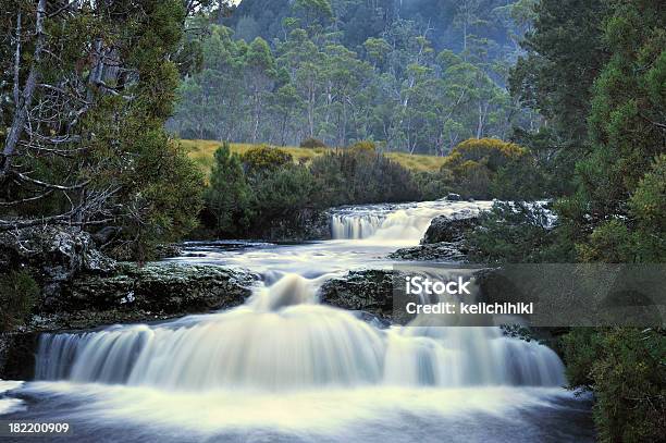 Photo libre de droit de Wateralls banque d'images et plus d'images libres de droit de Tasmanie - Tasmanie, Cascade, Forêt