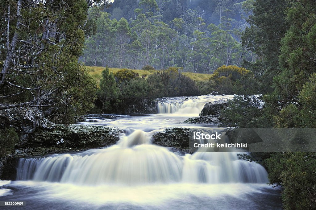 wateralls - Foto de stock de Tasmânia royalty-free