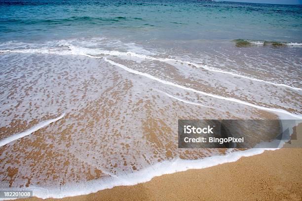 Praia Em Sydney - Fotografias de stock e mais imagens de Areia - Areia, Austrália, Capitais internacionais