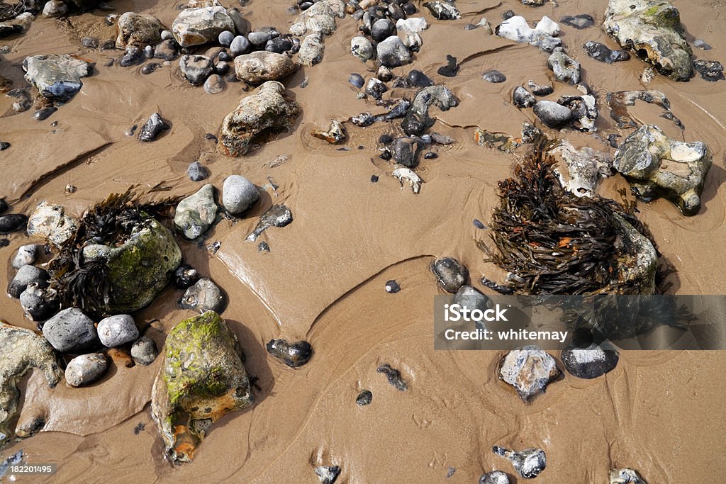 Sand, seaweed and rocks "Sand, seaweed, rocks and running water on a sunny beach.Some related images from my portfolio. Please also see my lightboxes for lots more." Algae Stock Photo