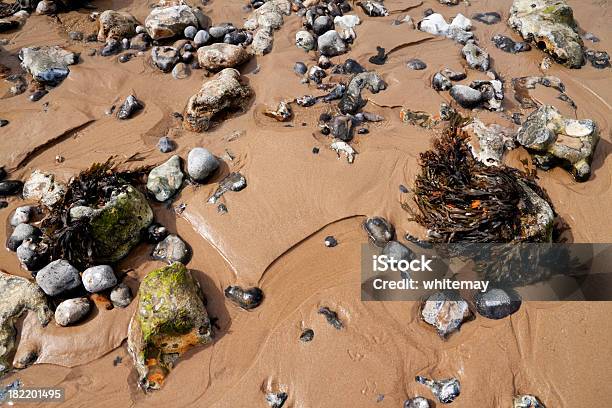 Sand Seaweed And Rocks Stock Photo - Download Image Now - Algae, Backgrounds, Beach