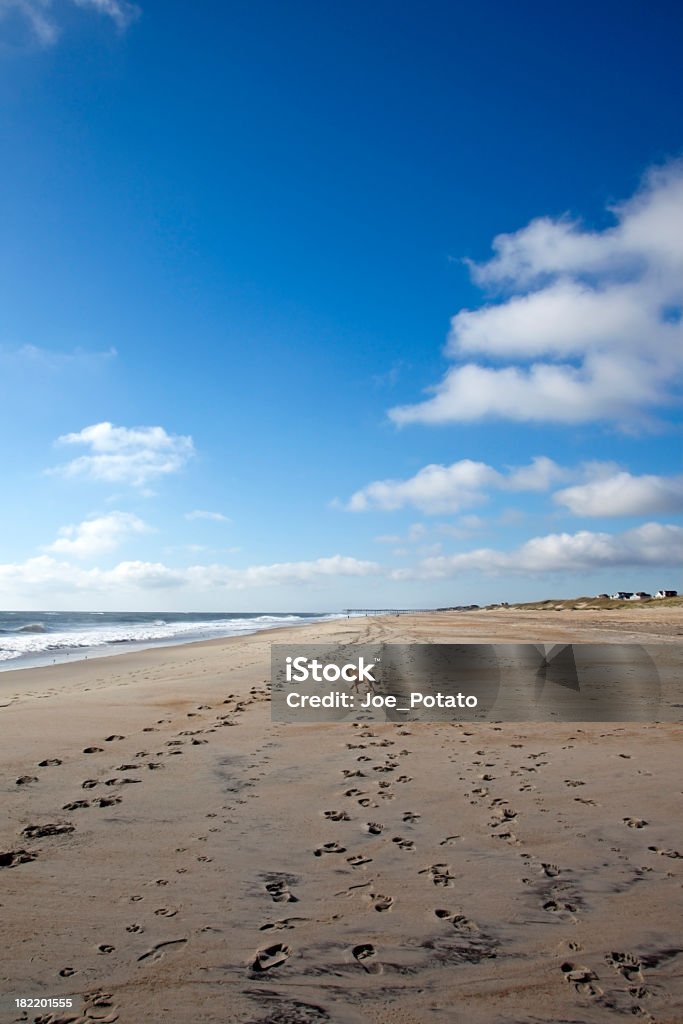 Lone Perro en la playa - Foto de stock de Perro libre de derechos