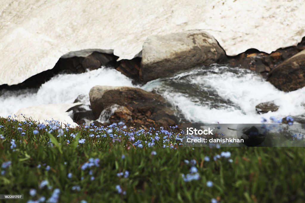 Tundra Blumen und eisgekühltes Wasser Bach - Lizenzfrei Asien Stock-Foto