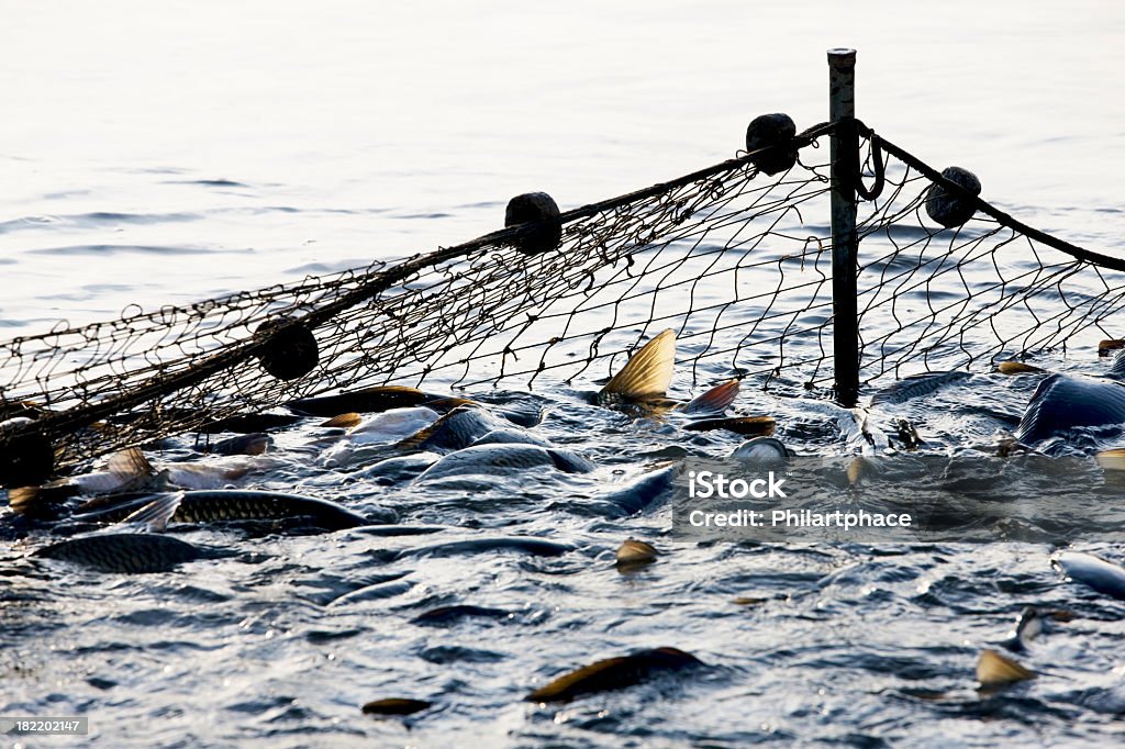 fishing industry - Lizenzfrei Fischereinetz Stock-Foto