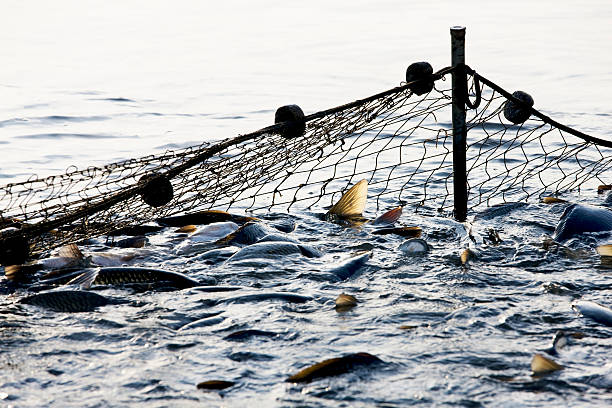 fishing industry - fishing net stock-fotos und bilder