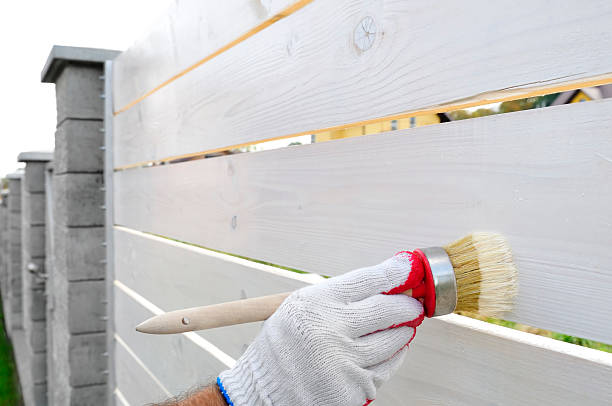 istock Painting the fence 182202189