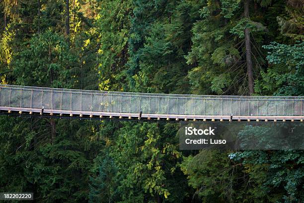Ponte Suspention De Capilano - Fotografias de stock e mais imagens de Ponte de Corda - Ponte de Corda, Canadá, Colúmbia Britânica