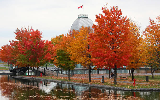 istock Autumn scenic with colorful trees in Montreal (Canada) 182202434