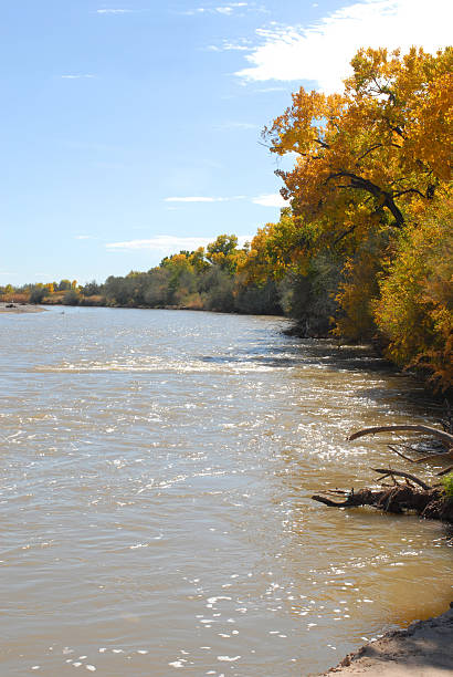 istock Rio Grande River and the Bosque 182202665