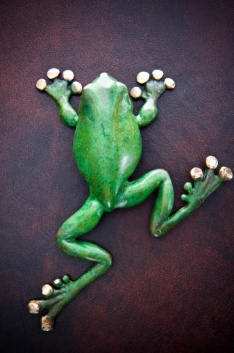 Tree frog green figurine leatherSee My Portfolio by clicking on the below images: