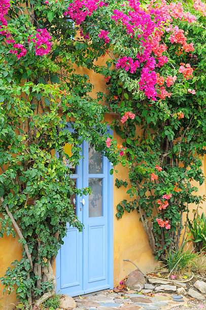 istock Blue door with flowers 182203880
