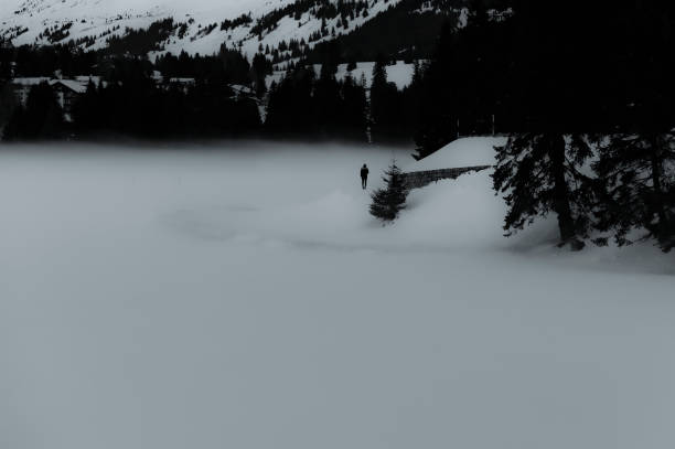 a foggy winter day at the lake in the swiss alps a foggy winter day at the lake in the swiss alps traurig stock pictures, royalty-free photos & images