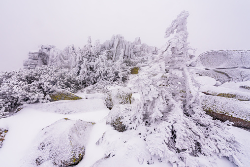 Frozen rock formation called Muzske Kameny on Krkonosska magistrala in the Krkonose NP in winter.