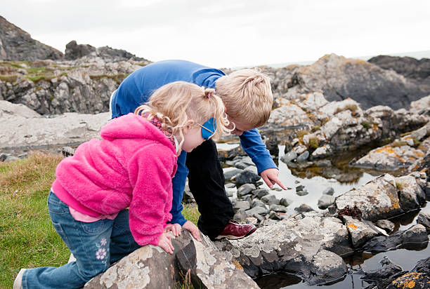 istock brother and sister looking for crabs in a rockpool 182204307