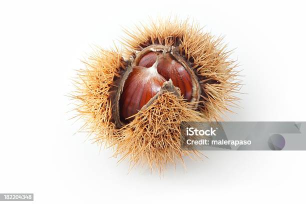 Castanha - Fotografias de stock e mais imagens de Aberto - Aberto, Castanha, Castanho