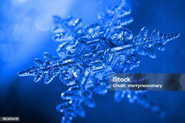 Royal Blue Snowflake Stock Photo - Download Image Now - Macrophotography, Snowflake Shape, Abstract