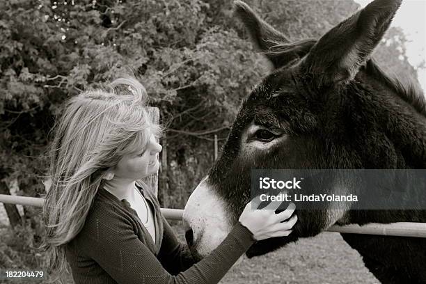 Burro E Rapariga - Fotografias de stock e mais imagens de Amizade - Amizade, Amor, Animal