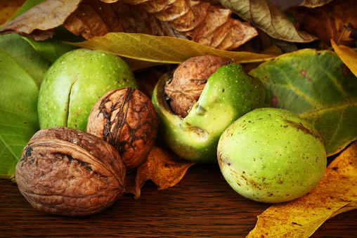 Autumn fruits with chestnuts and acorns closeup