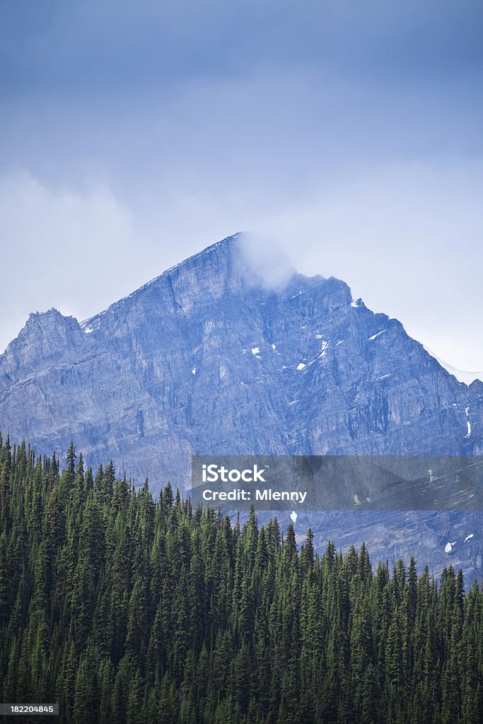 Canadá Rocky Mountain Close-Up - Royalty-free Afiado Foto de stock